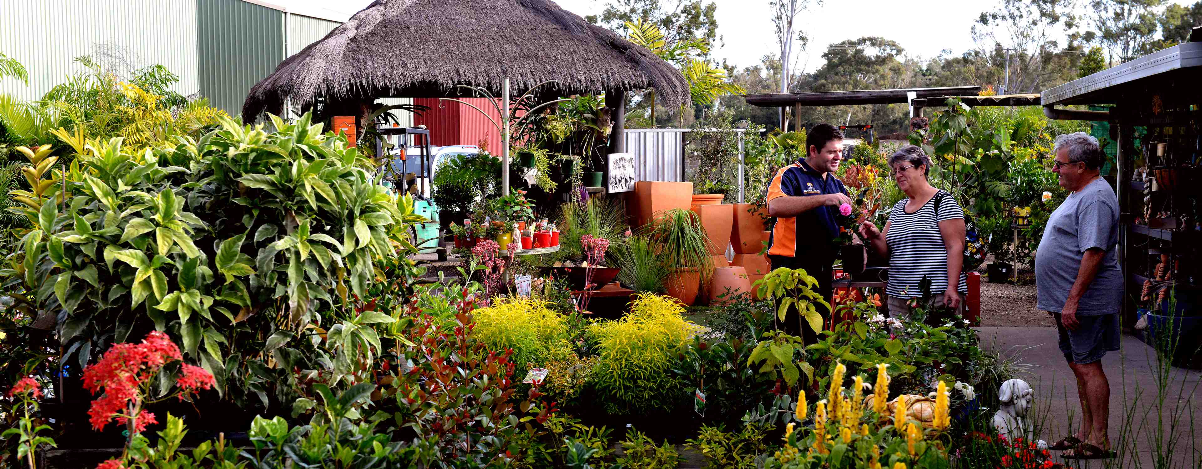 Hervey Bay Garden Centre