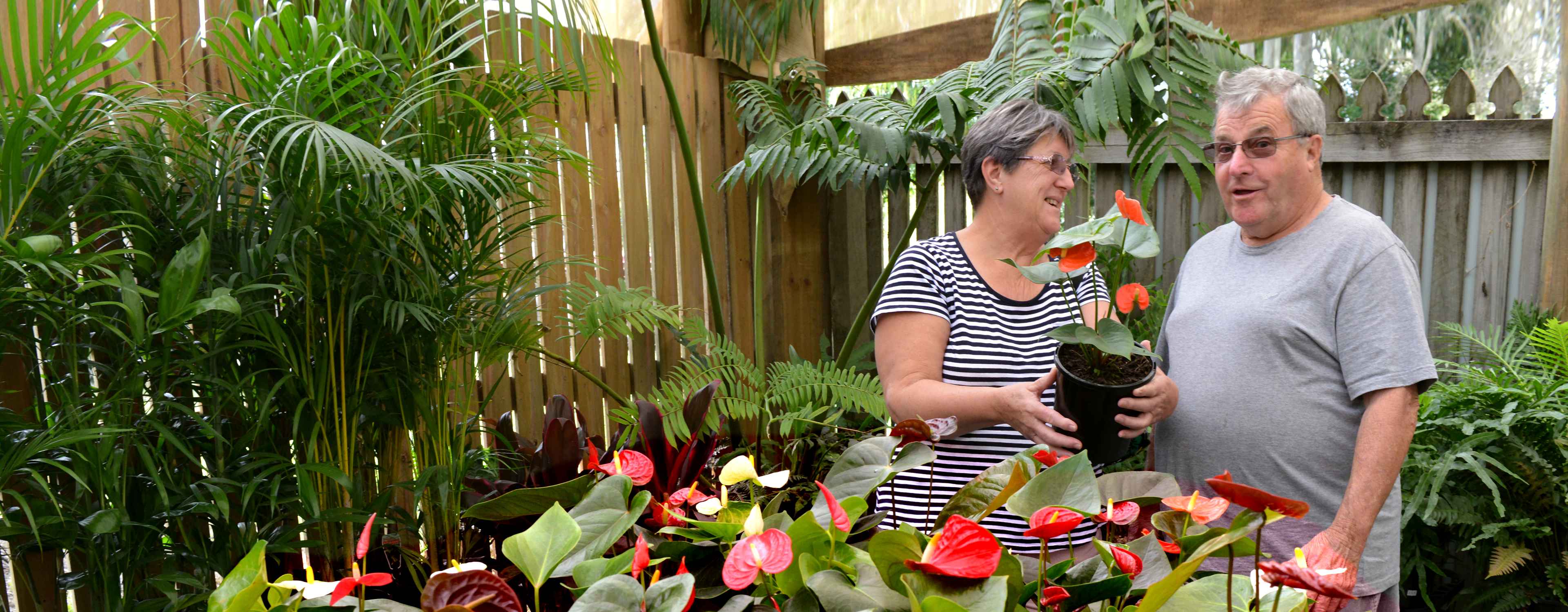 Hervey Bay Garden Centre